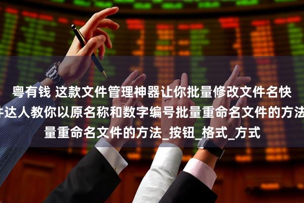粤有钱 这款文件管理神器让你批量修改文件名快如闪电，办公软件达人教你以原名称和数字编号批量重命名文件的方法_按钮_格式_方式
