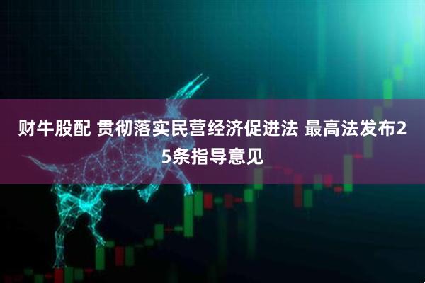财牛股配 贯彻落实民营经济促进法 最高法发布25条指导意见