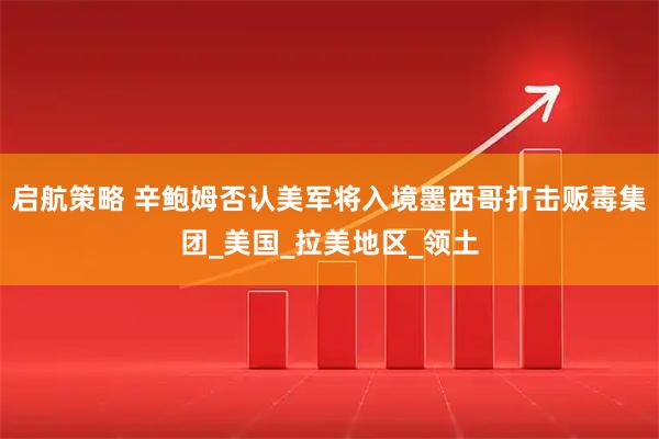 启航策略 辛鲍姆否认美军将入境墨西哥打击贩毒集团_美国_拉美地区_领土