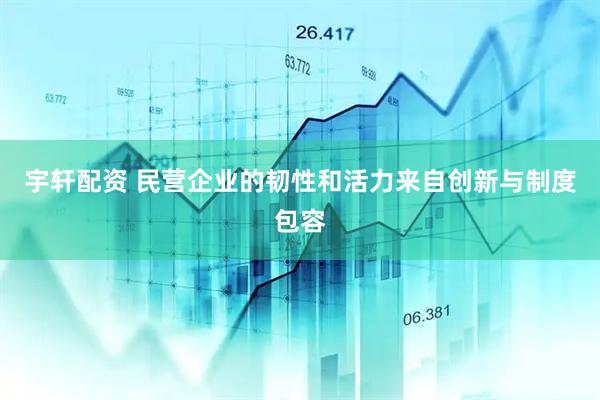 宇轩配资 民营企业的韧性和活力来自创新与制度包容